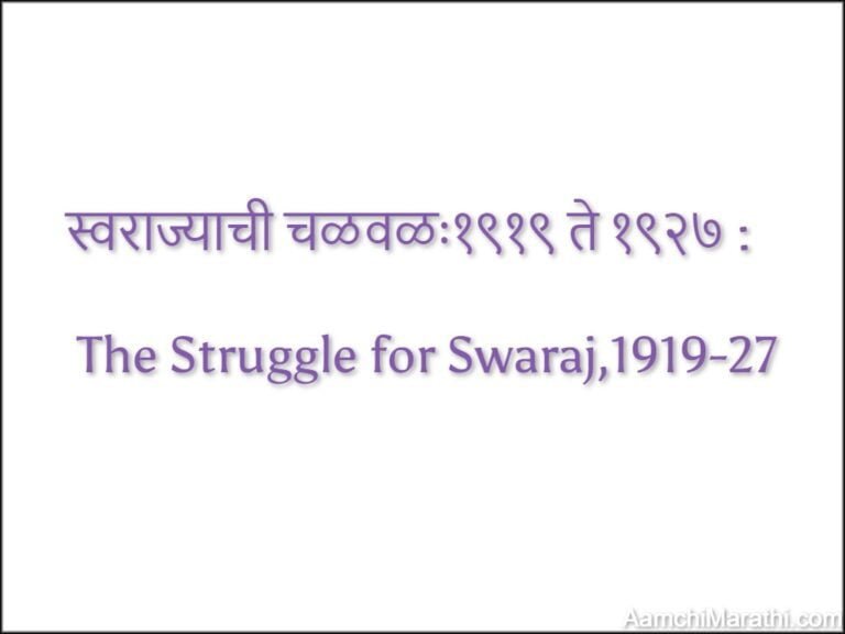 The Struggle for Swaraj,1919-27