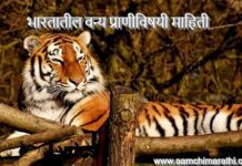 भारतातील वन्य प्राणीविषयी माहिती : Bhartatil Vanya Pranichi Mahiti bhartatil-vanya-prani-chi-mahiti