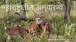 महाराष्ट्रातील अभयारण्ये आणि राष्ट्रीय उद्याने – Sanctuary and National Parks Maharashtra Abhyaranya